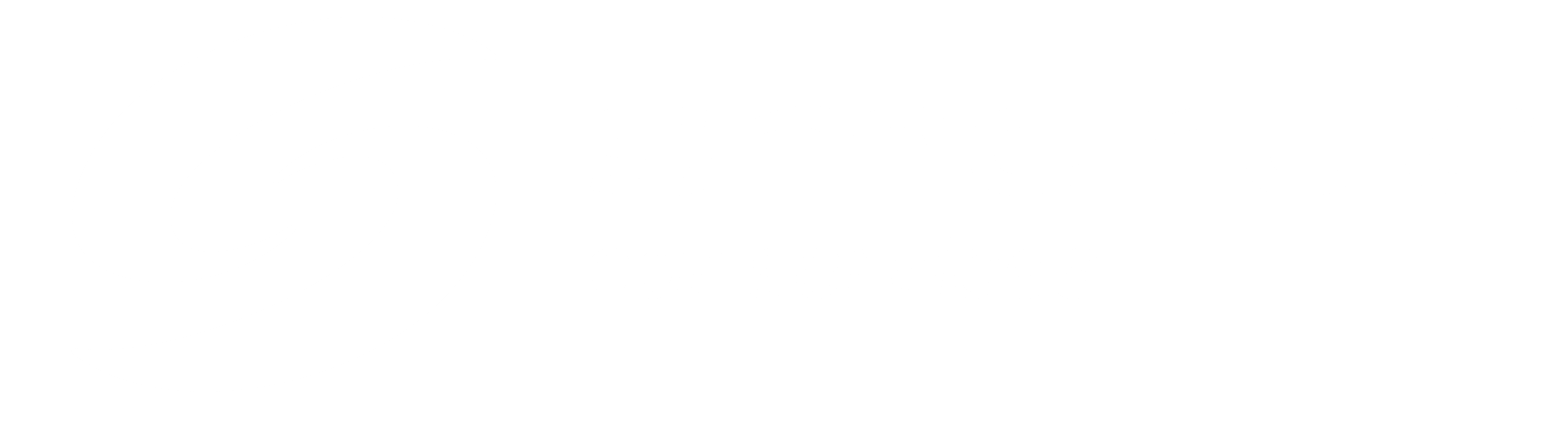 Smartic Car Services
